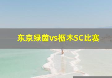 东京绿茵vs枥木SC比赛