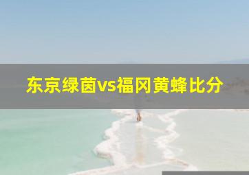 东京绿茵vs福冈黄蜂比分