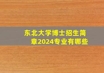 东北大学博士招生简章2024专业有哪些