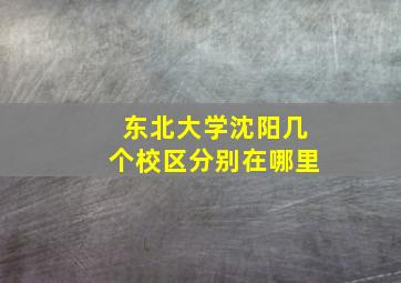 东北大学沈阳几个校区分别在哪里