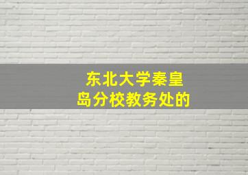 东北大学秦皇岛分校教务处的