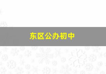 东区公办初中