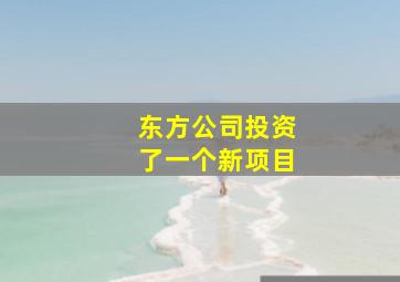 东方公司投资了一个新项目