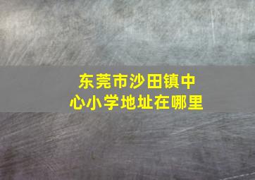 东莞市沙田镇中心小学地址在哪里