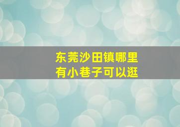 东莞沙田镇哪里有小巷子可以逛