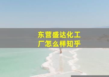 东营盛达化工厂怎么样知乎