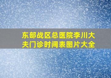 东部战区总医院李川大夫门诊时间表图片大全