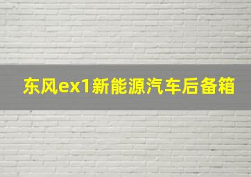 东风ex1新能源汽车后备箱