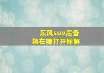 东风suv后备箱在哪打开图解