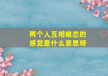 两个人互相暗恋的感觉是什么意思呀