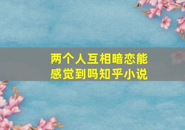 两个人互相暗恋能感觉到吗知乎小说