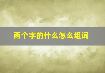 两个字的什么怎么组词