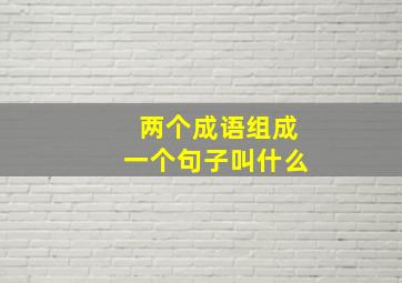 两个成语组成一个句子叫什么