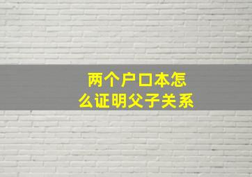 两个户口本怎么证明父子关系