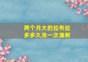 两个月大的拉布拉多多久洗一次澡啊