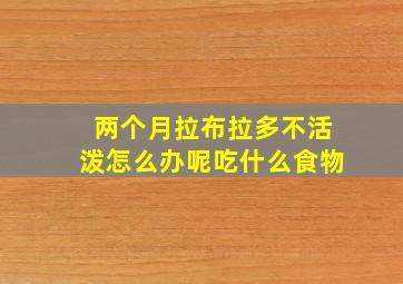 两个月拉布拉多不活泼怎么办呢吃什么食物