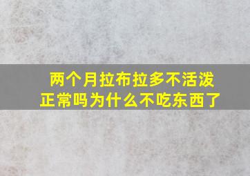 两个月拉布拉多不活泼正常吗为什么不吃东西了