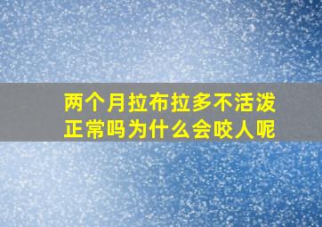 两个月拉布拉多不活泼正常吗为什么会咬人呢