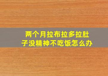 两个月拉布拉多拉肚子没精神不吃饭怎么办