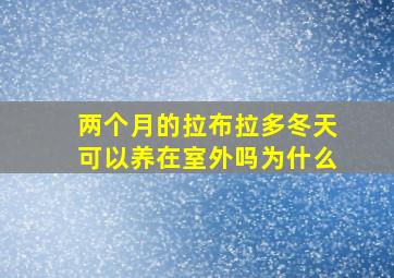 两个月的拉布拉多冬天可以养在室外吗为什么