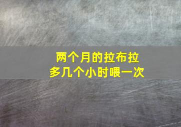 两个月的拉布拉多几个小时喂一次