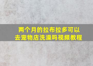 两个月的拉布拉多可以去宠物店洗澡吗视频教程