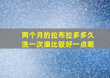 两个月的拉布拉多多久洗一次澡比较好一点呢