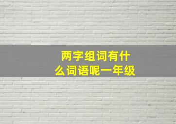 两字组词有什么词语呢一年级