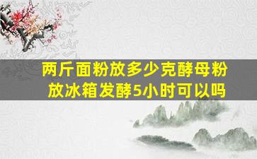 两斤面粉放多少克酵母粉放冰箱发酵5小时可以吗