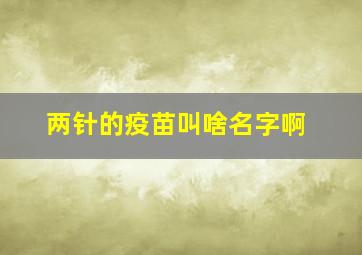 两针的疫苗叫啥名字啊