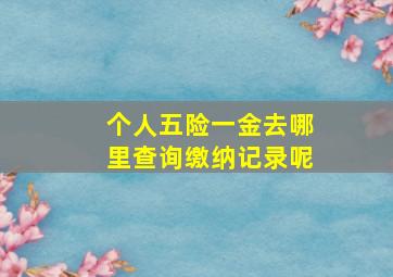 个人五险一金去哪里查询缴纳记录呢