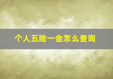 个人五险一金怎么查询