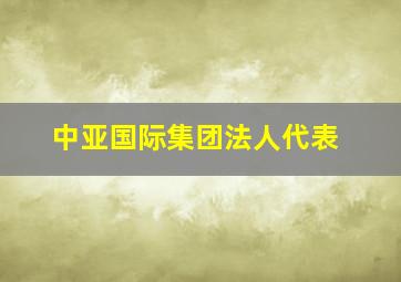 中亚国际集团法人代表