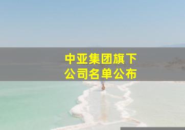 中亚集团旗下公司名单公布