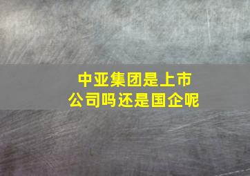 中亚集团是上市公司吗还是国企呢