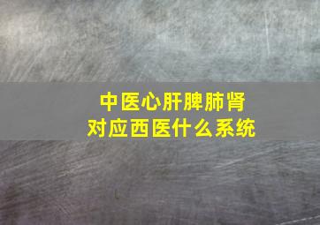 中医心肝脾肺肾对应西医什么系统