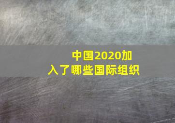 中国2020加入了哪些国际组织