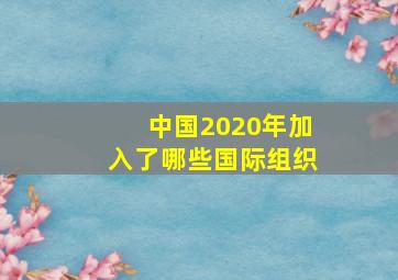 中国2020年加入了哪些国际组织