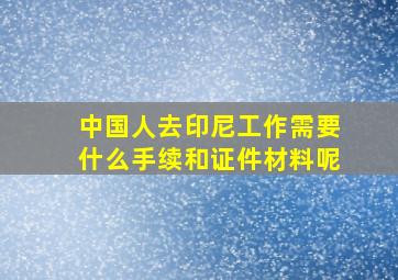 中国人去印尼工作需要什么手续和证件材料呢