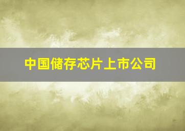 中国储存芯片上市公司