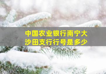 中国农业银行南宁大沙田支行行号是多少