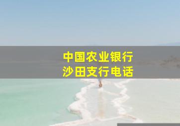 中国农业银行沙田支行电话