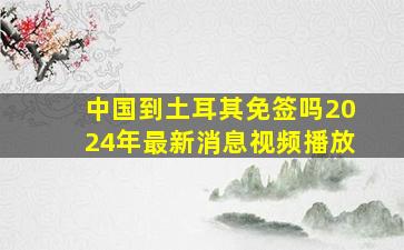 中国到土耳其免签吗2024年最新消息视频播放