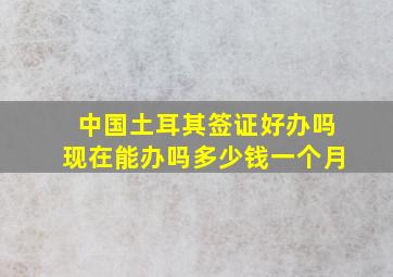 中国土耳其签证好办吗现在能办吗多少钱一个月