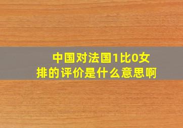 中国对法国1比0女排的评价是什么意思啊