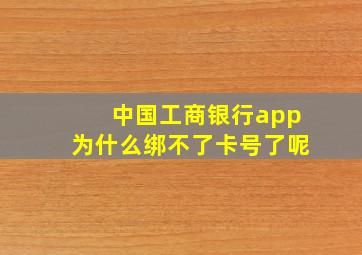 中国工商银行app为什么绑不了卡号了呢