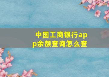 中国工商银行app余额查询怎么查