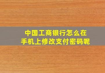 中国工商银行怎么在手机上修改支付密码呢