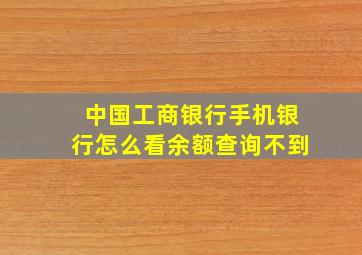 中国工商银行手机银行怎么看余额查询不到