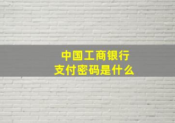 中国工商银行支付密码是什么